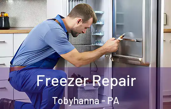  Freezer Repair Tobyhanna - PA