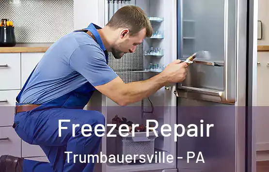  Freezer Repair Trumbauersville - PA