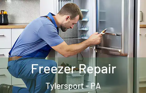  Freezer Repair Tylersport - PA