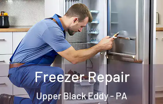  Freezer Repair Upper Black Eddy - PA
