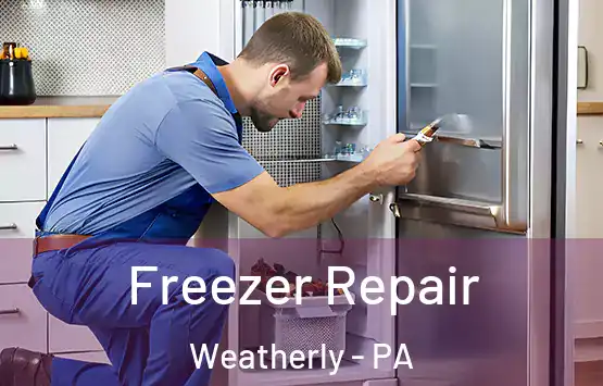  Freezer Repair Weatherly - PA
