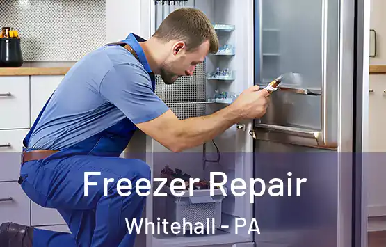  Freezer Repair Whitehall - PA