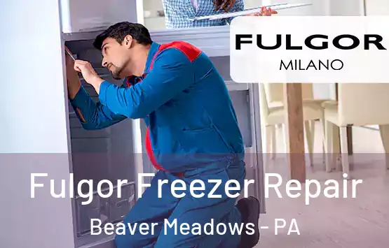  Fulgor Freezer Repair Beaver Meadows - PA