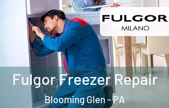  Fulgor Freezer Repair Blooming Glen - PA
