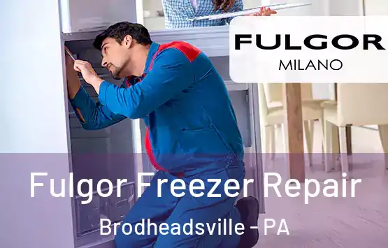  Fulgor Freezer Repair Brodheadsville - PA