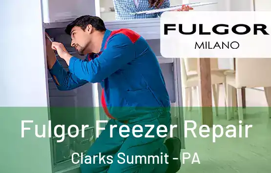  Fulgor Freezer Repair Clarks Summit - PA