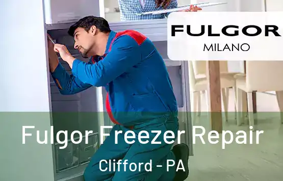  Fulgor Freezer Repair Clifford - PA