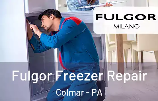  Fulgor Freezer Repair Colmar - PA