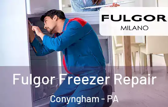  Fulgor Freezer Repair Conyngham - PA