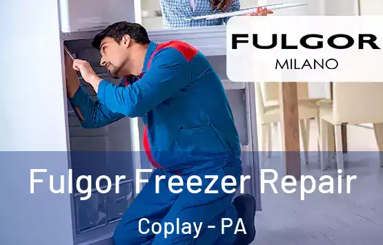  Fulgor Freezer Repair Coplay - PA