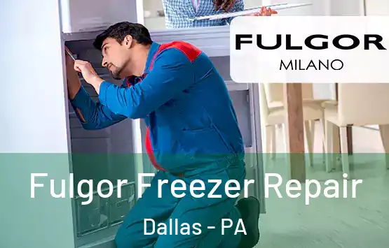  Fulgor Freezer Repair Dallas - PA