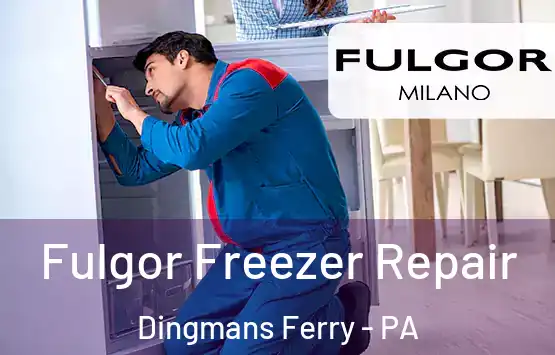  Fulgor Freezer Repair Dingmans Ferry - PA