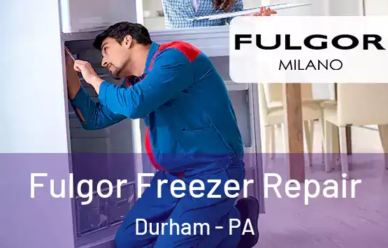  Fulgor Freezer Repair Durham - PA