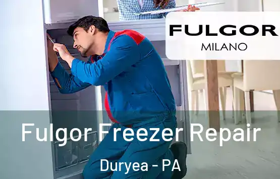  Fulgor Freezer Repair Duryea - PA