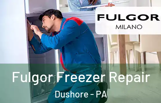  Fulgor Freezer Repair Dushore - PA