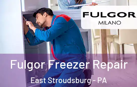  Fulgor Freezer Repair East Stroudsburg - PA