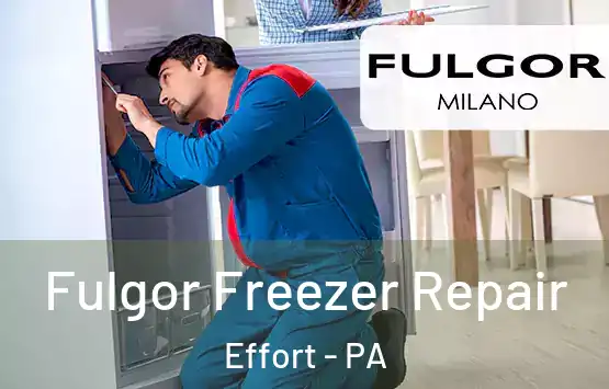  Fulgor Freezer Repair Effort - PA