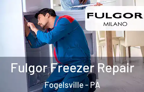  Fulgor Freezer Repair Fogelsville - PA