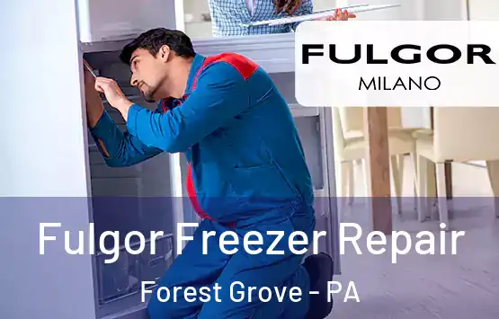  Fulgor Freezer Repair Forest Grove - PA