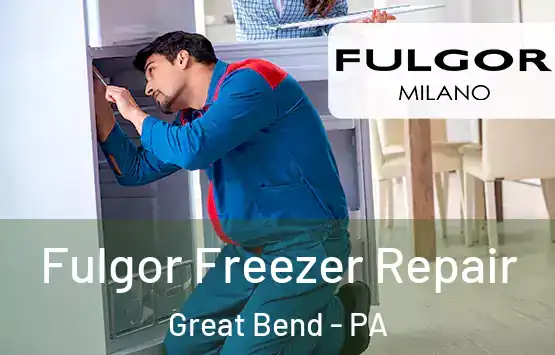  Fulgor Freezer Repair Great Bend - PA