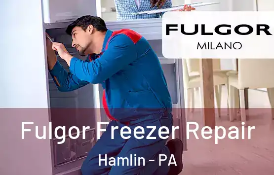  Fulgor Freezer Repair Hamlin - PA