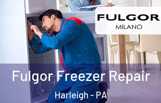  Fulgor Freezer Repair Harleigh - PA