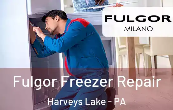  Fulgor Freezer Repair Harveys Lake - PA