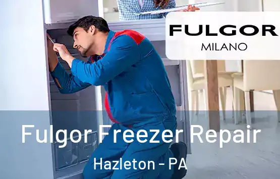  Fulgor Freezer Repair Hazleton - PA