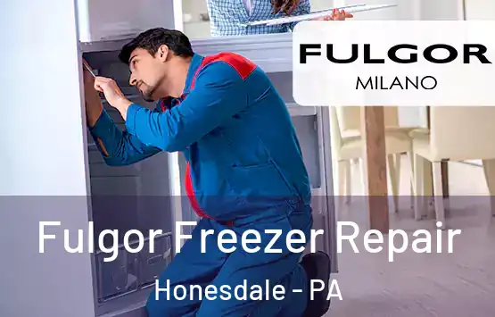  Fulgor Freezer Repair Honesdale - PA