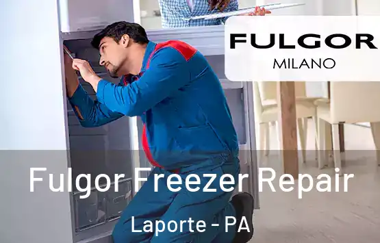  Fulgor Freezer Repair Laporte - PA
