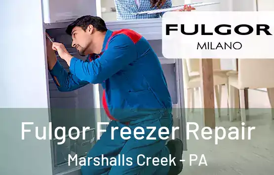  Fulgor Freezer Repair Marshalls Creek - PA