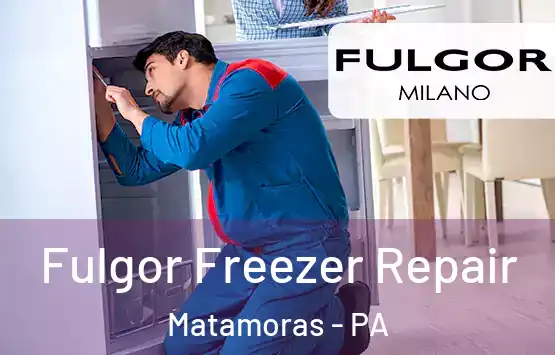  Fulgor Freezer Repair Matamoras - PA