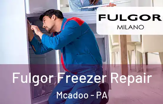 Fulgor Freezer Repair Mcadoo - PA
