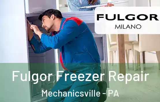  Fulgor Freezer Repair Mechanicsville - PA