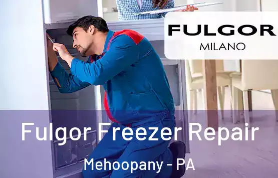  Fulgor Freezer Repair Mehoopany - PA