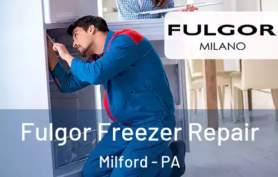  Fulgor Freezer Repair Milford - PA