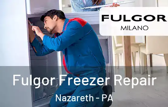  Fulgor Freezer Repair Nazareth - PA