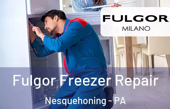  Fulgor Freezer Repair Nesquehoning - PA