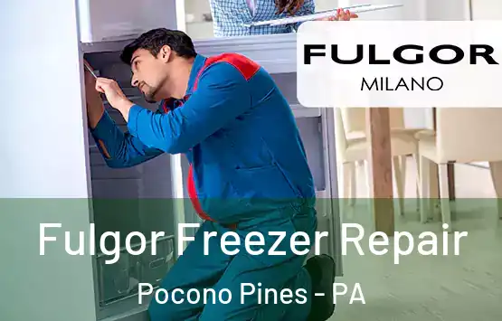  Fulgor Freezer Repair Pocono Pines - PA