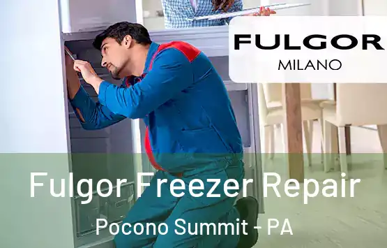  Fulgor Freezer Repair Pocono Summit - PA