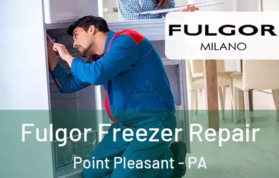  Fulgor Freezer Repair Point Pleasant - PA