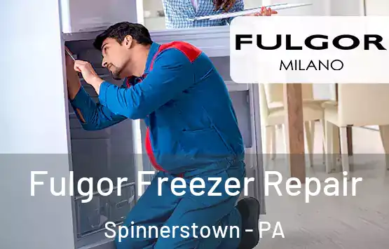  Fulgor Freezer Repair Spinnerstown - PA