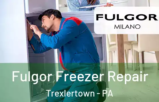  Fulgor Freezer Repair Trexlertown - PA