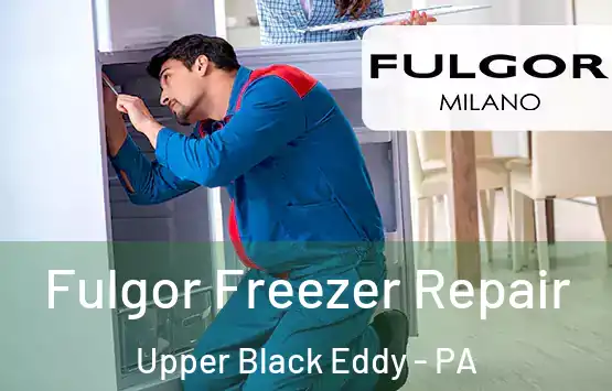  Fulgor Freezer Repair Upper Black Eddy - PA