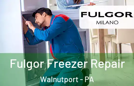  Fulgor Freezer Repair Walnutport - PA