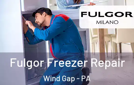  Fulgor Freezer Repair Wind Gap - PA