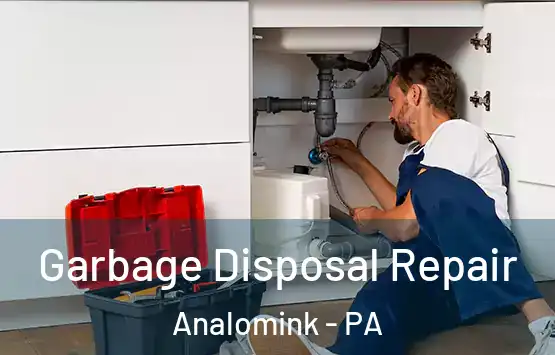  Garbage Disposal Repair Analomink - PA