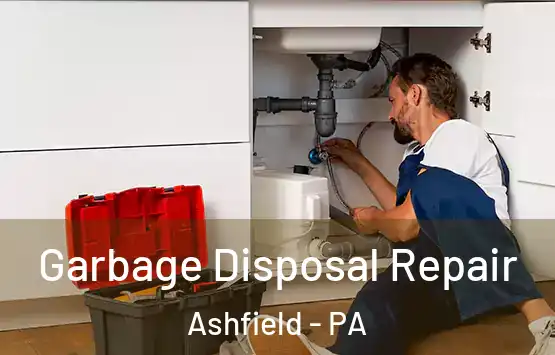  Garbage Disposal Repair Ashfield - PA