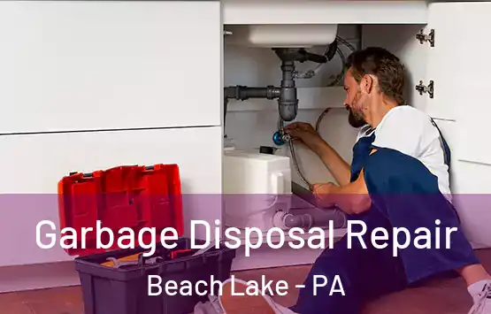  Garbage Disposal Repair Beach Lake - PA