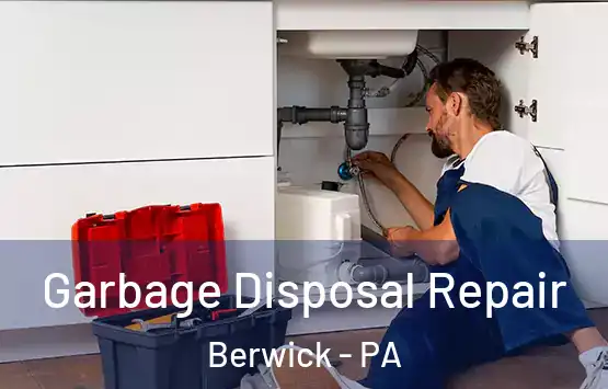  Garbage Disposal Repair Berwick - PA